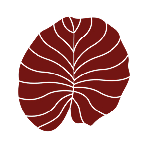 Estika Medispa